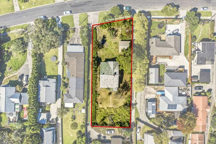 117 Seabrook Avenue New Lynn_11