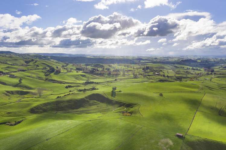 Piakonui Road Richmond Downs_19