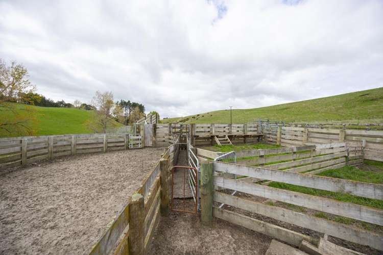 234 Sandon Road Feilding_20