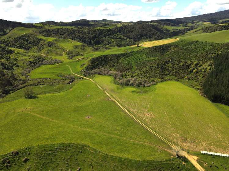 1/1745 Arapuni Road Parawera_17