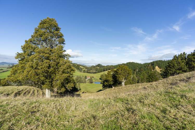 27 Hukerenui Road Hukerenui_21