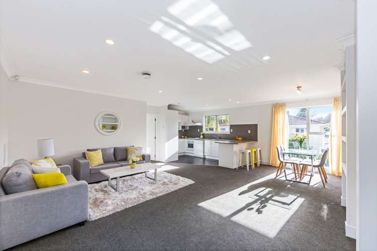 19 Castleton Street Birkdale_11