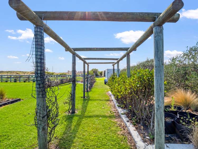 7 Carex Grove Foxton Beach_28