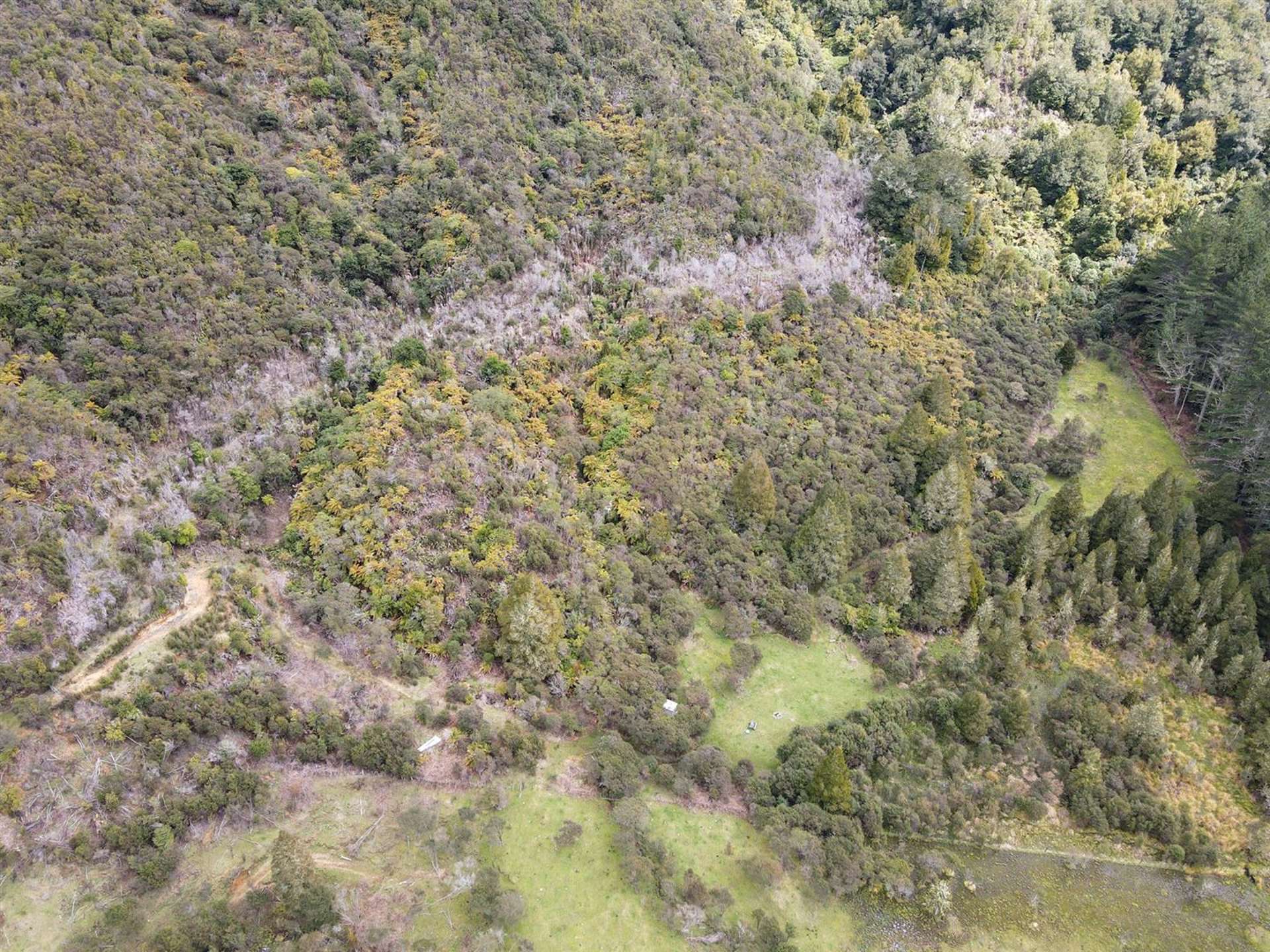 1677 Takaputahi Road Opotiki Coastal_0