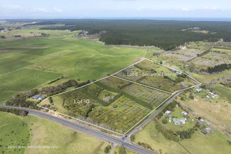 Lot LOT 10/27 Turk Valley Rd Pukenui_6