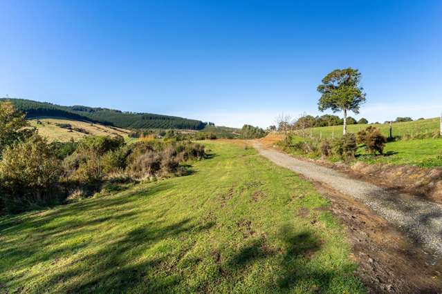 315 Leith Valley Road Leith Valley_3