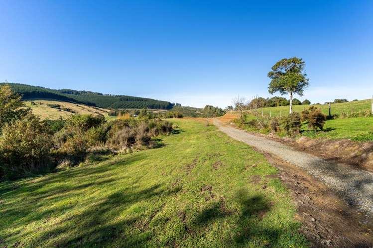 315 Leith Valley Road_3