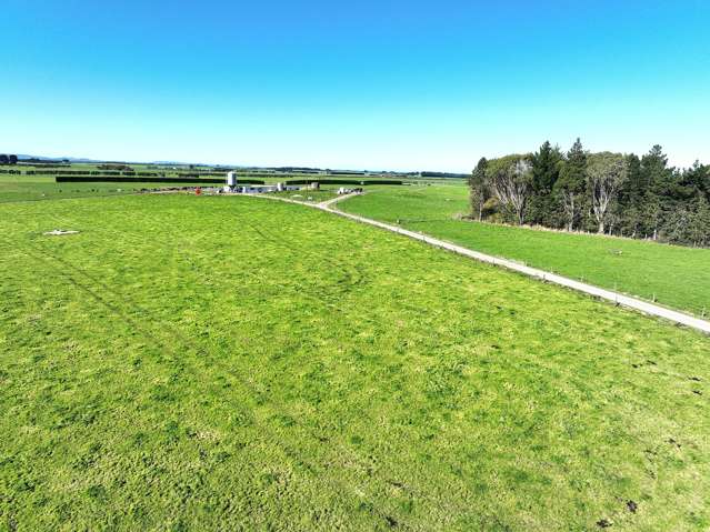 12 Shand Road, Farm 1 Rimu_4