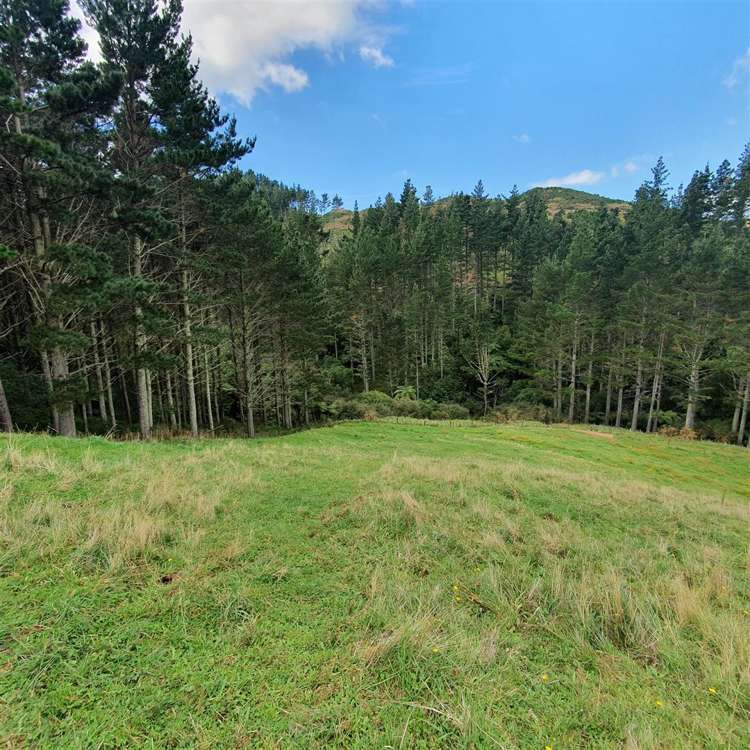 Waitete Road Waihi_10