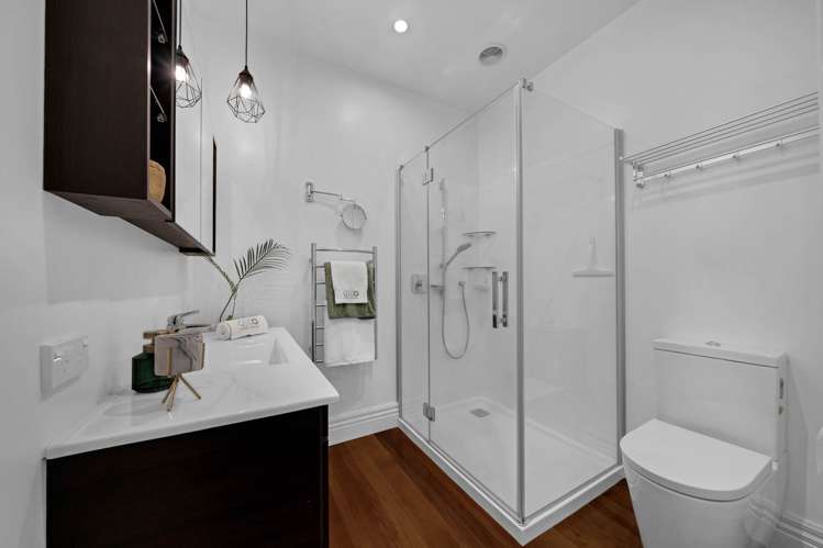 12 Mapau Road Greenlane_19