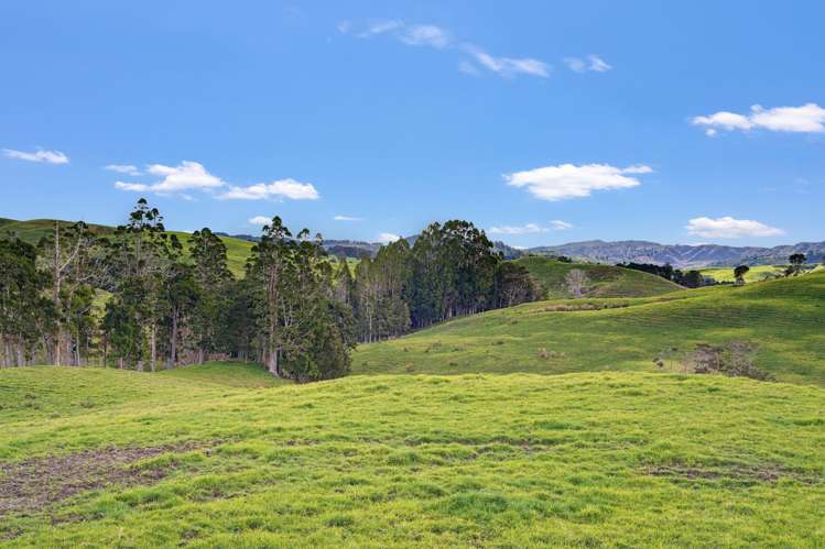 / Lot 12 Gorge Road_1