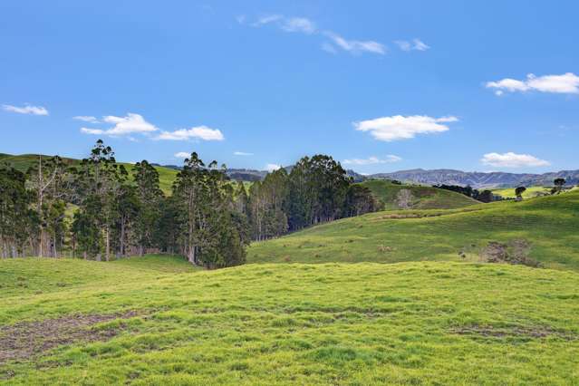 / Lot 12 Gorge Road Maungaturoto_1