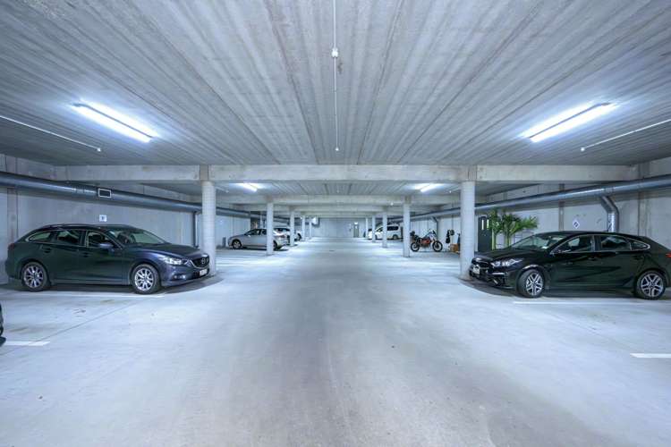 Ground Floor/525 Rosebank Road Avondale_6