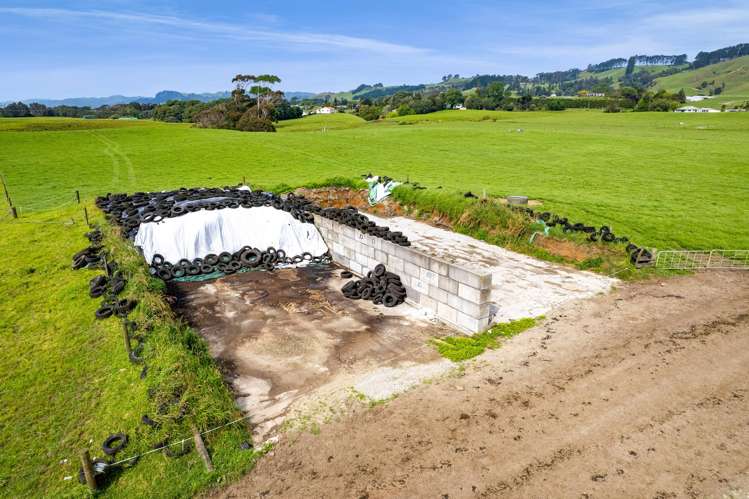 78a Waitoetoe Road Mimi_25