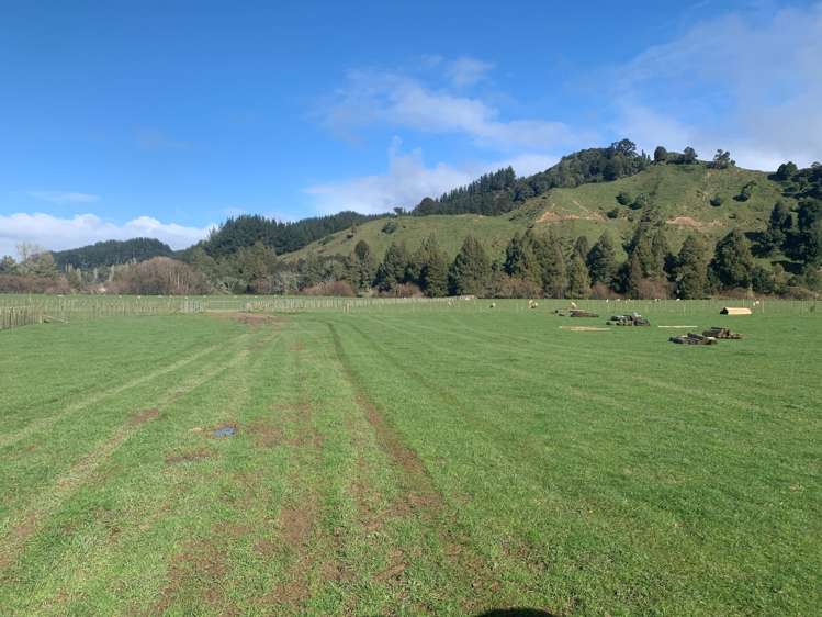 167 Whenuakura Road Waimiha-Ongarue_10