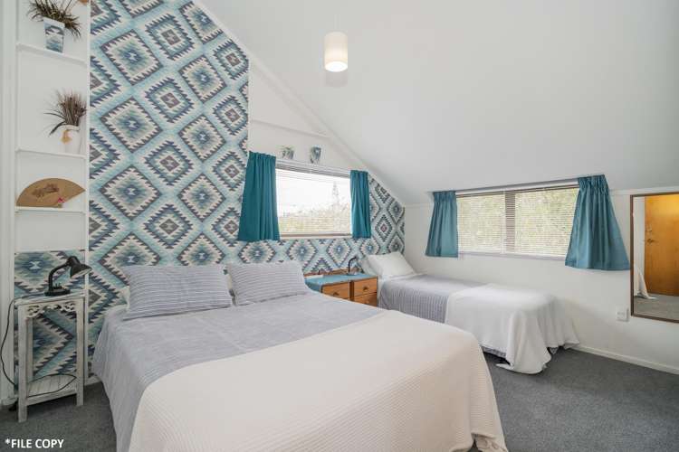 25 South Highway Whitianga_16