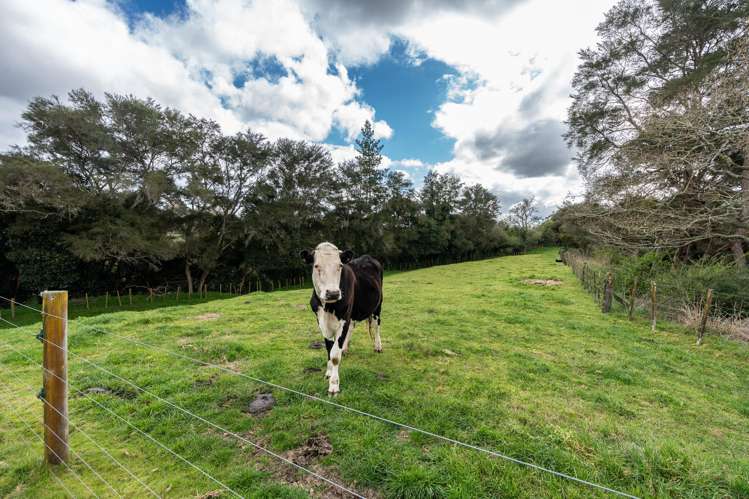 72A Riverglade Drive Tamahere_30