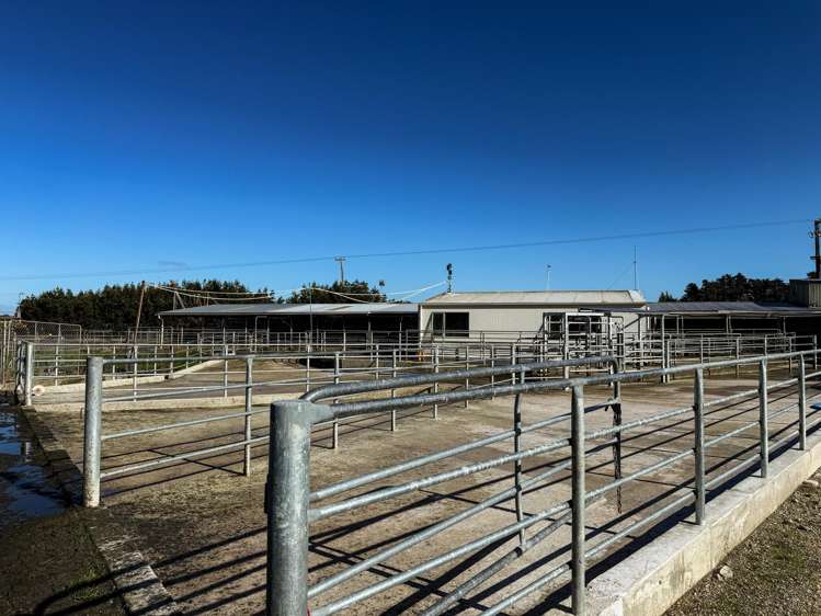 403 Island Edendale Road Menzies Ferry_1