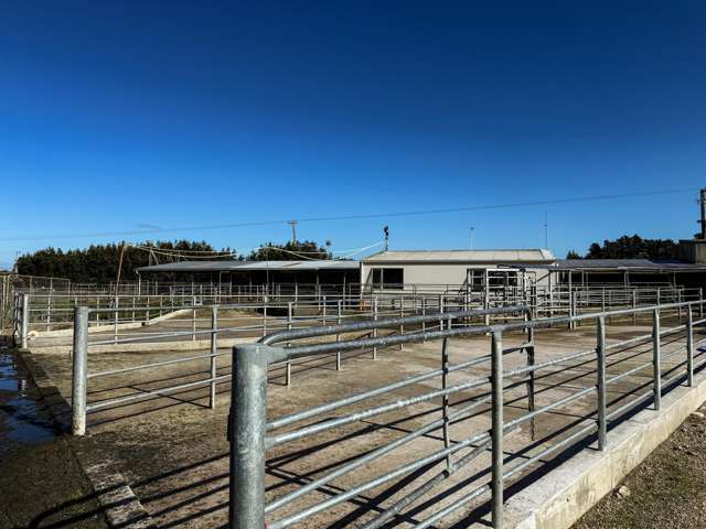 403 Island Edendale Road Menzies Ferry_1