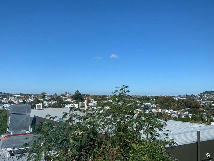 43 Hadlow Terrace Grey Lynn_6