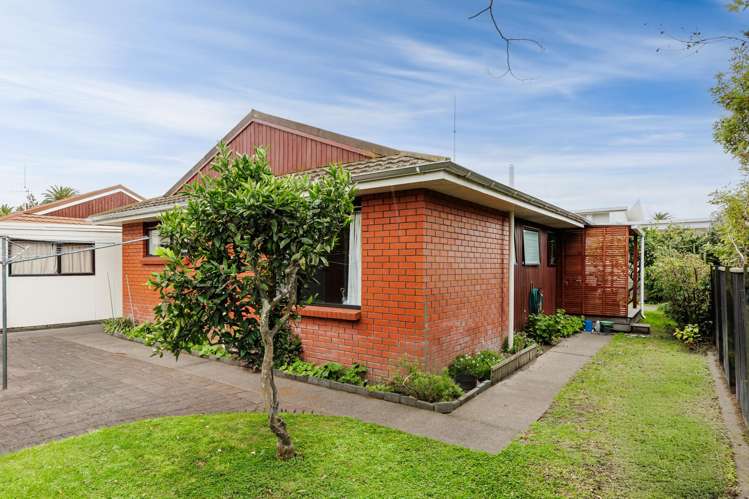 87B Georges Drive Napier South_10