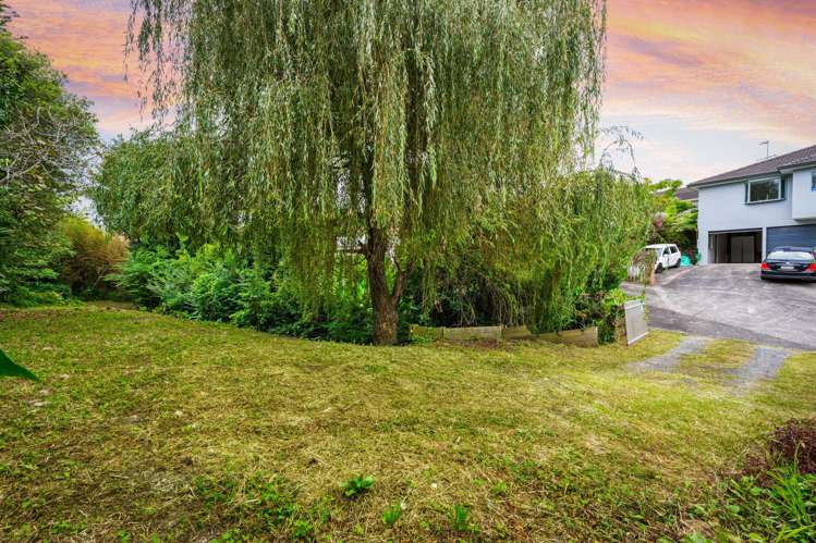 6/19 Gardner Avenue New Lynn_28