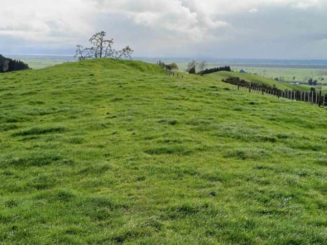 In Zone for Hauraki College and zero covenants