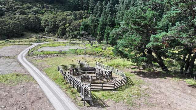 563 Waiohine Gorge Road Carterton_3