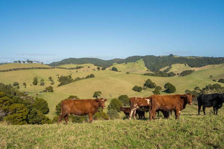 1133&1137 Matapouri Road Matapouri_6