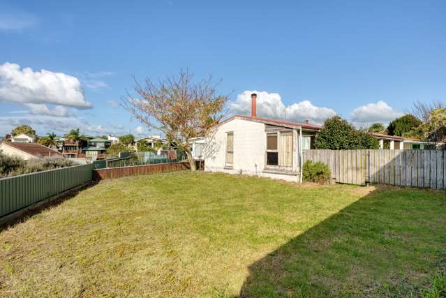 17 Vine Avenue Maungatapu_3