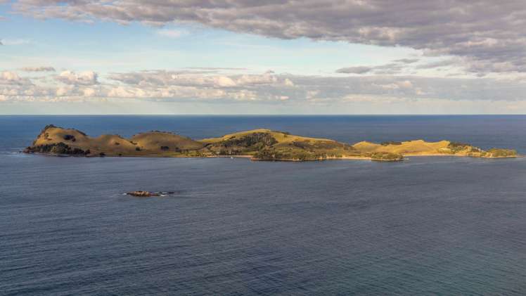 190 Pacific Ocean, Slipper Island (Whakahua) Thames_87