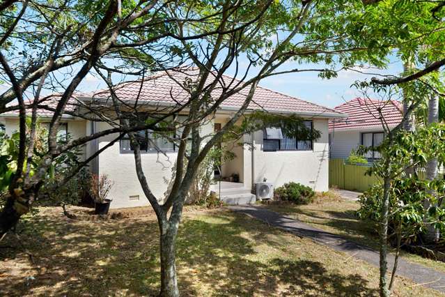 537 Richardson Road Mt Roskill_2