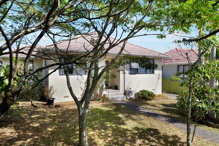 537 Richardson Road Mt Roskill_2