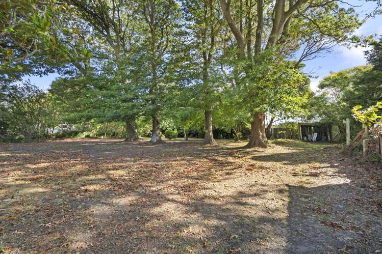 15 Rira Street Marton_19