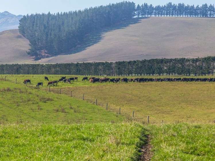 1028 Hurunui Bluff Road Hurunui_14