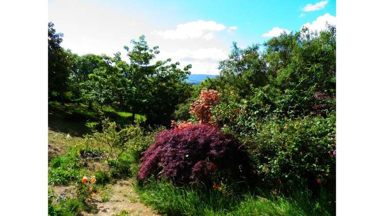 1505 Waikite Valley Road Ngakuru_6