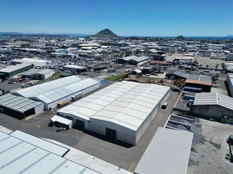 14B Harvard Way Mount Maunganui_10