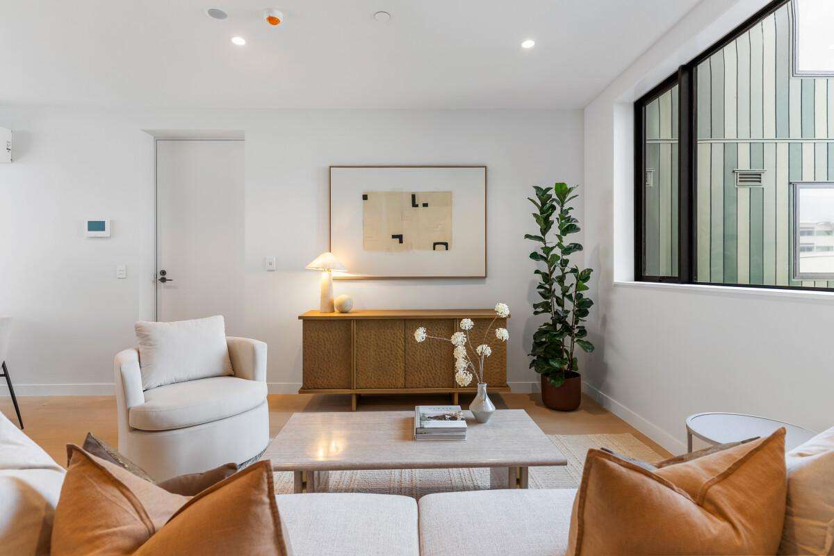 81 Carlton Gore Road_3