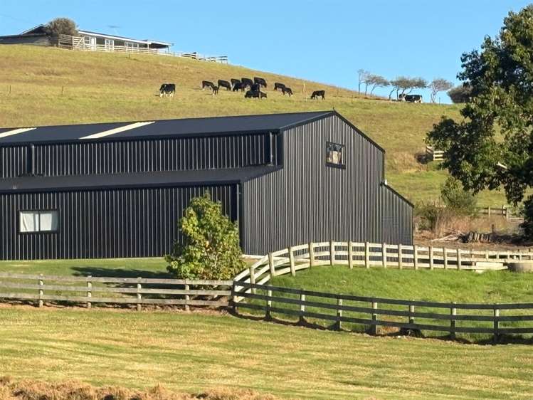 1166 Leigh Road Matakana_2