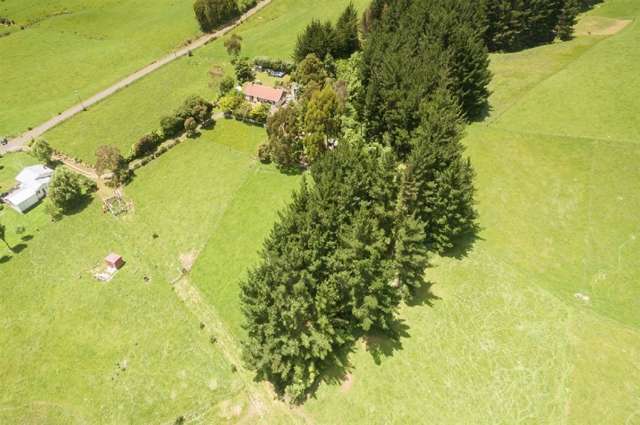 272 Potts Road Koputaroa_1