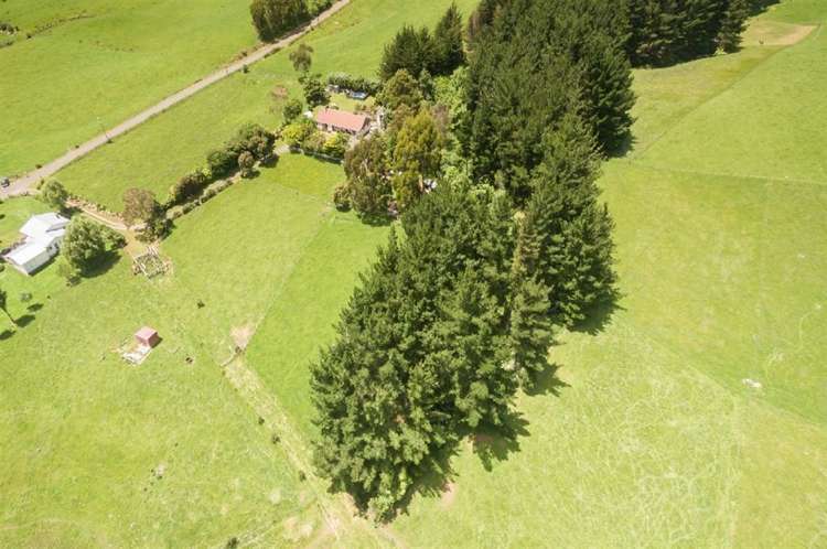 272 Potts Road Koputaroa_1