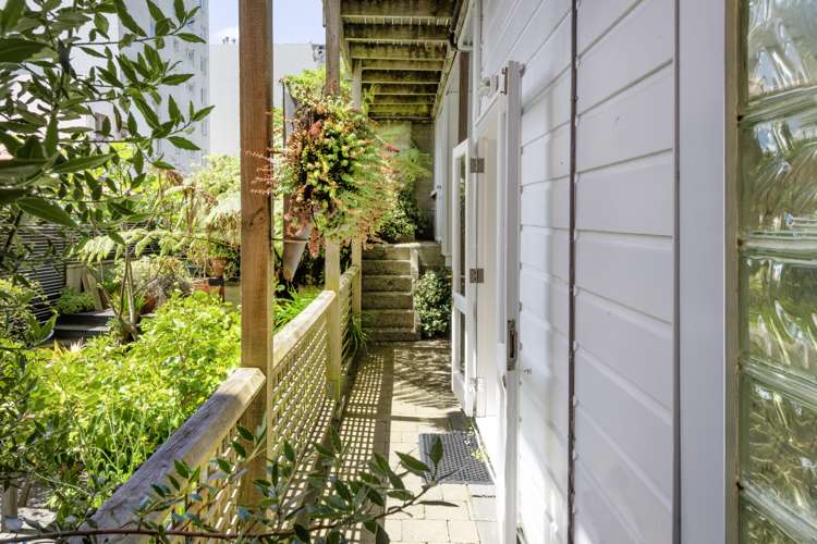 3 Hay Street Oriental Bay_18