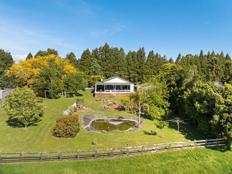 1622 Te Matai Road Te Puke_39