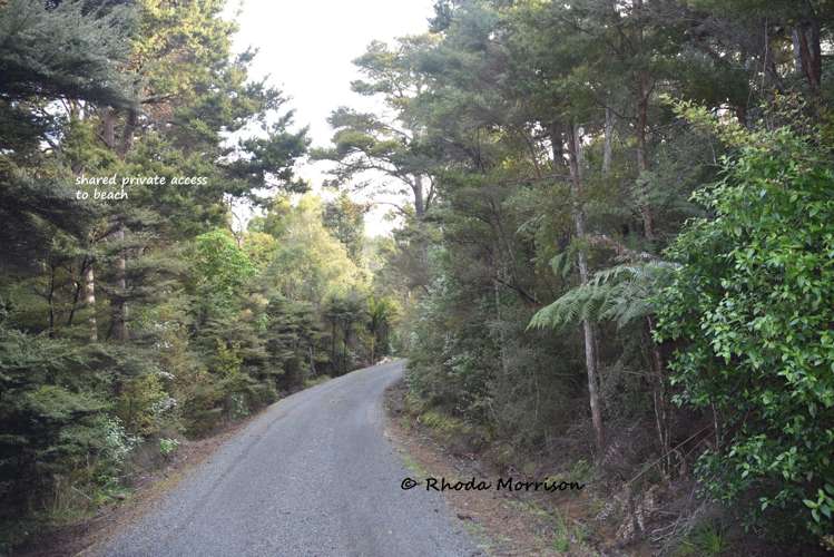 100 Te Wairoa Lane Matakohe_11