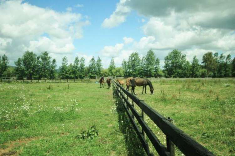 119 Saint Marys Road Waipu_20