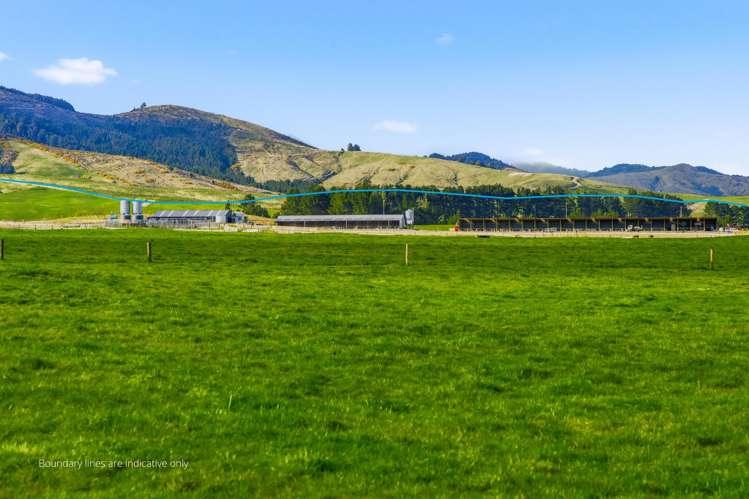 2/1389 Taharua Road Rangitaiki_11
