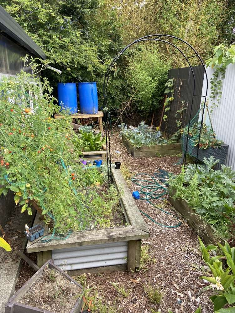 61 Nikau Road Otahuhu_11