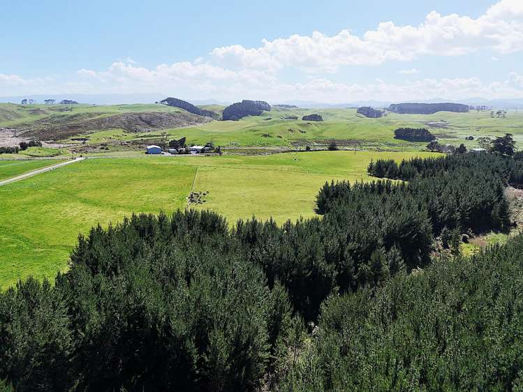 413a Baylys Coast Road Dargaville_14