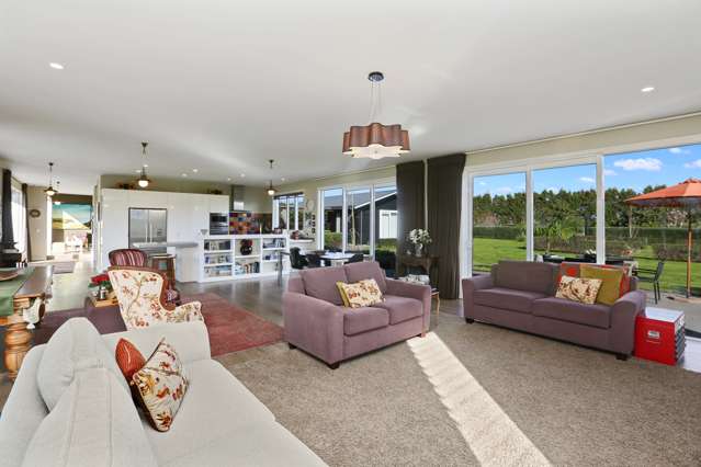 50a Richmond Road Waitara_3