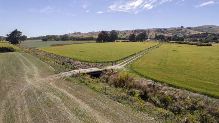 1231 Longbush Road Carterton_13